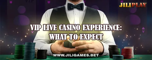 VIP Live Casino Experience: What to Expect