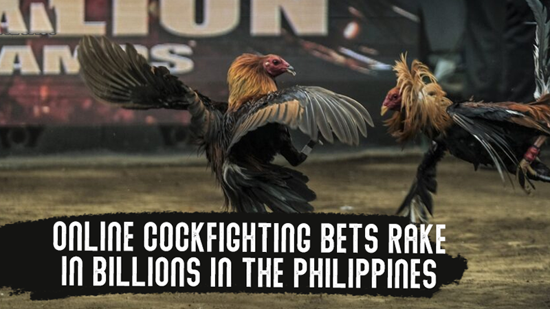 How to play online sabong