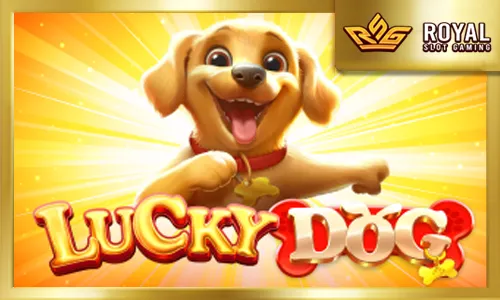 Lucky Dog